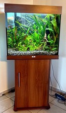 JUWEL Lido 120 Aquarium, voll ausgestattet