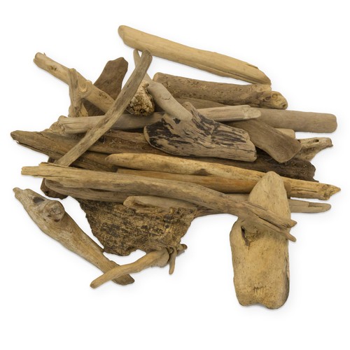 Deko holz treibholz - im, beutel