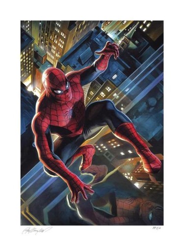 Marvel kunstdruck the - the, amazing