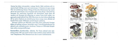 Pilze mushrooms funghi - ,