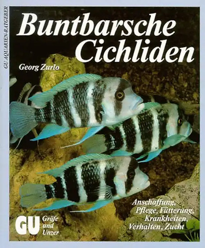 Buntbarsche cichliden - buntbarsche, /cichliden