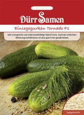 Einlegegurken Tornado F1