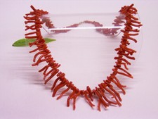 KORALLENKETTE: ASTKORALLE /