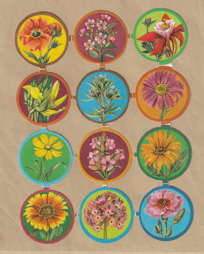 Ddr stammbuchbilder blumen - ,