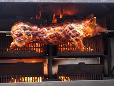 Spanferkel grillferkel - spanferkel,