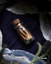 Haifischzähne Glücksbringer