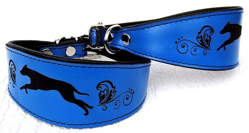 Windhund galgo halsband - galgo,