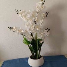 Orchidee groß 80cm
