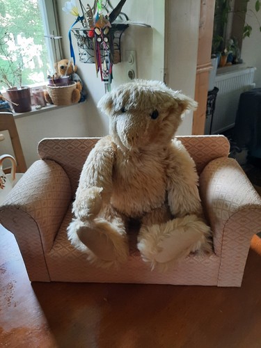Teddybär von steiff - teddybär, steiff,