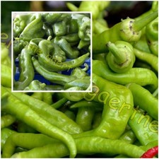 MILDE PEPPERONI LOMBARDO