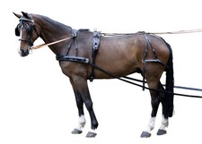 Einspänner Brustblattgeschirr