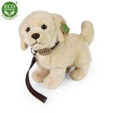 Golden Retriever H=23 cm, L=