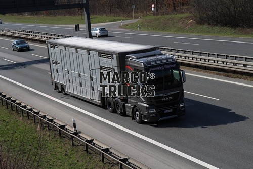 Lkw foto man - lkw, tgx