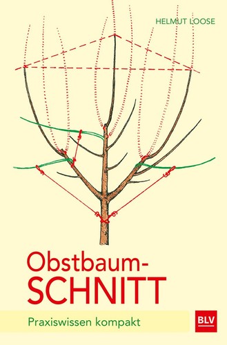 Obstbaumschnitt praxiswissen - obstbaumschnitt,