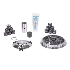 Polini Variomatik (für: Honda NES 125 @ JF07 00-06 )