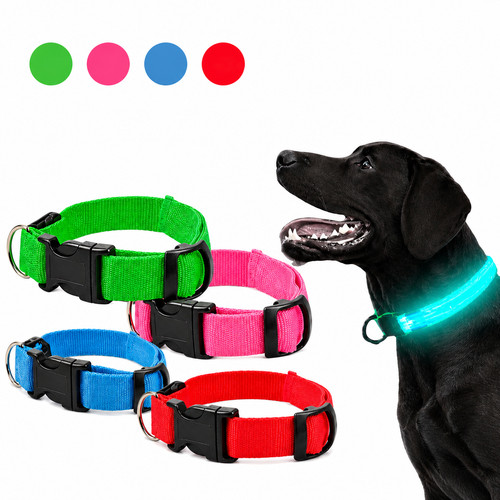 Led hundehalsband - led,