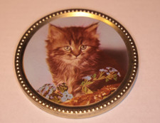 runde flache leere Blechdose