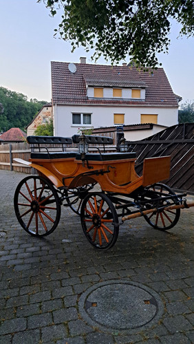Wagonette pferdekutsche mit - wagonette,