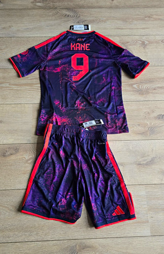 Bayern champions league - bayern,
