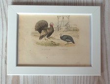 1852 Lithographie Kunstdruck