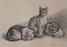 Johann Adam Klein cats animal