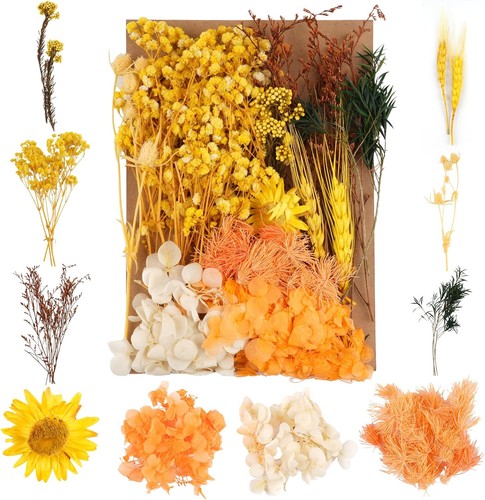 Trockenblumen basteln - trockenblumen,