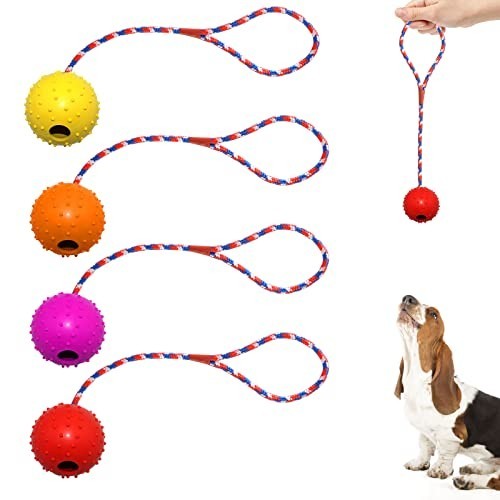 Prota 4er pack hundeball - pack,