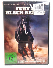 FURY & BLACK BEAUTY - 7