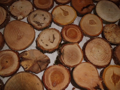 Holzscheiben 6 cm - holzscheiben,, 3-6