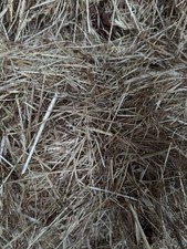 Heu ballen (Pferd) Neu Bio 