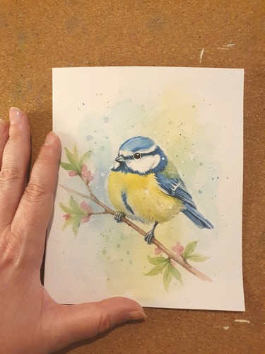 Aquarell blaumeise - aquarell,