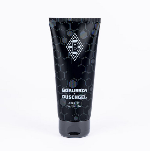 Vfl borussia mönchengladbach - vfl,