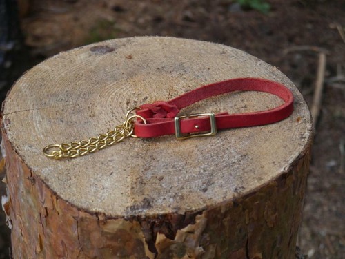 Rotes fettlederhalsband - rotes,