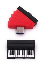Schifferklavier Akkordeon USB