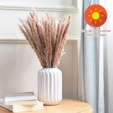 30 Stück Getrocknet Deko