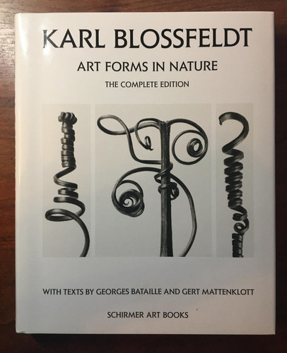 Karl blossfeldt art forms in - karl,