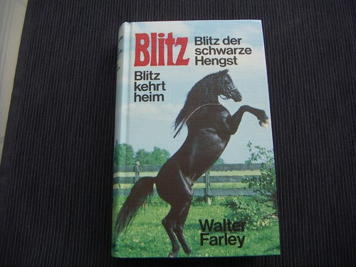 Blitz der schwarze - , +