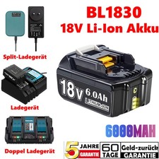 18V 6.0Ah Li-Ion Akku +