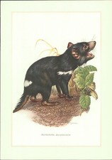 Kunstdruck - Offsetdruck. Wilhelm Eigener: BEUTELTEUFEL - Sarcophilus harrisi (B