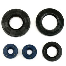 Wellendichtringe Motor