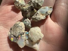 Welo Opale roh Lot 56,8 ct mit Feuer