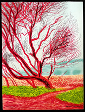 David Hockney Litografie COA