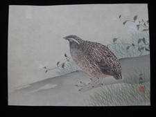 Kose Shoseki: Wachtel Gräser