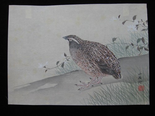 Kose shoseki wachtel - shoseki:, gräser