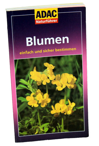 Blumen einfach und - einfach, sicher