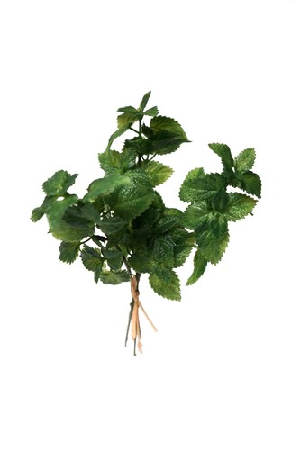 Kräuterbündel minze 23cm - kräuterbündel,