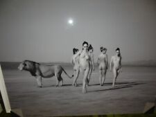 Lumas Sylvie Blum Walking