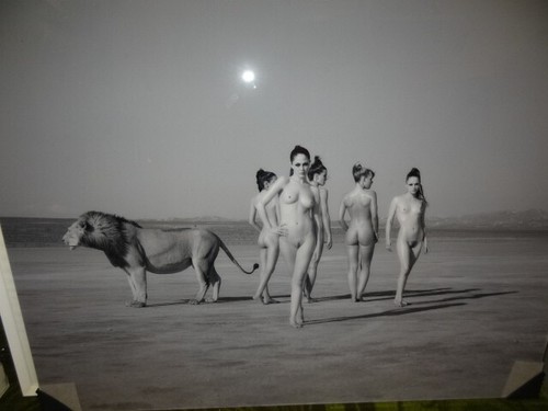 Lumas sylvie blum - lumas,