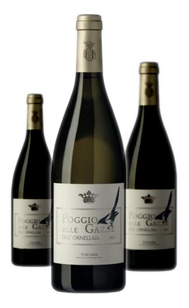 Poggio alle gazze - poggio,