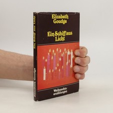 Ein Schiff aus Licht